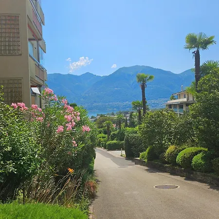 Palme 004 By Fewotessin *